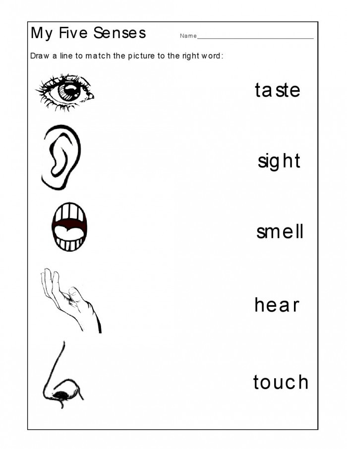 5 Senses Printable Worksheets 5 Senses Taste Matching Worksheets