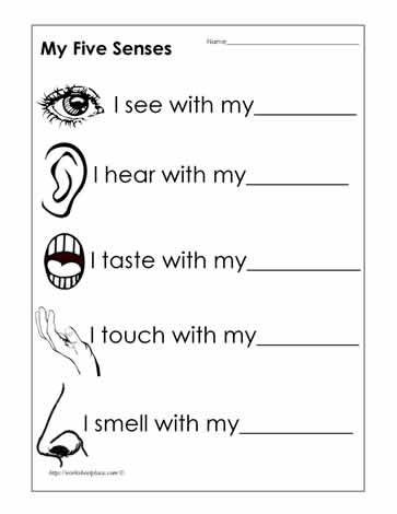 5 Senses Printable Worksheets Maybe An Alternative to Human Body Systems for Lower Levels