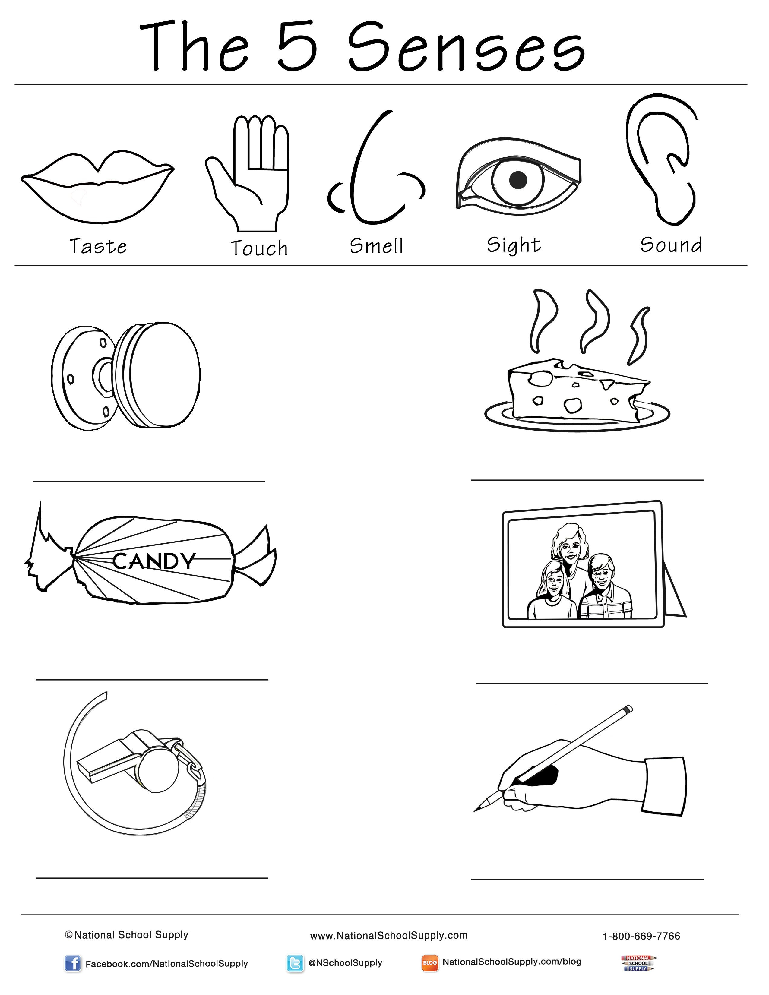 5 Senses Printable Worksheets New 5 Senses Printable is Great for Classrooms Of All Ages
