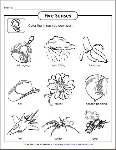 5 Senses Printable Worksheets Use Five Senses Printable Activities From Super Teacher