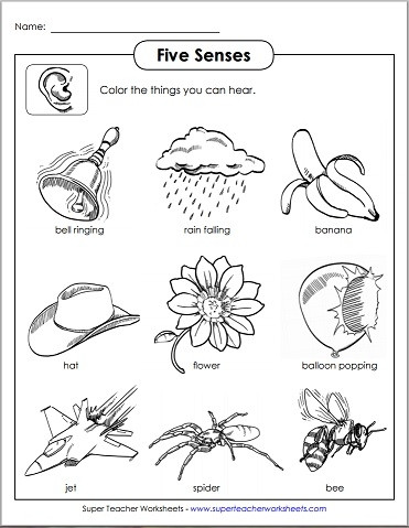 5 Senses Worksheet for Kindergarten Five Senses See Hear touch Smell Taste