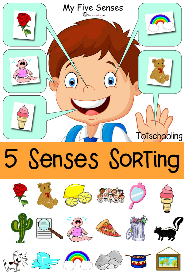 5 Senses Worksheet for Kindergarten Five Senses sorting Printable
