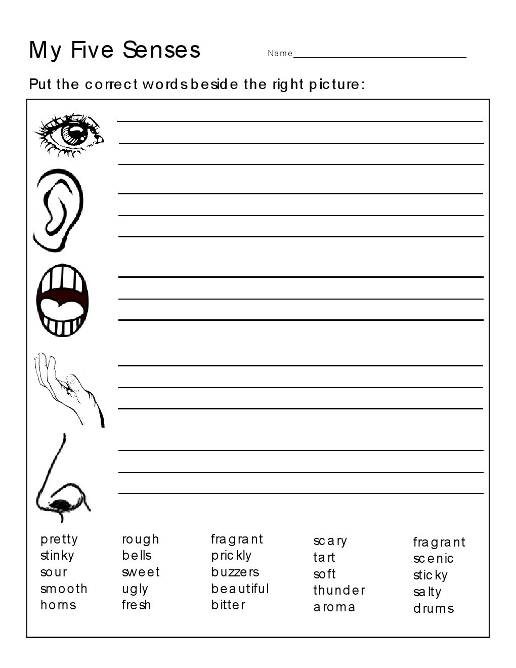 5 Senses Worksheet for Kindergarten Kindergarten Worksheets Kindergarten Worksheets the 5