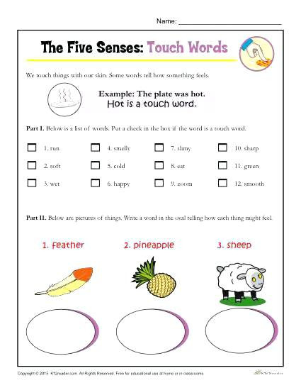 5 Senses Worksheets for Kindergarten 5 Senses Kindergarten the Five Senses Words Activity touch 5
