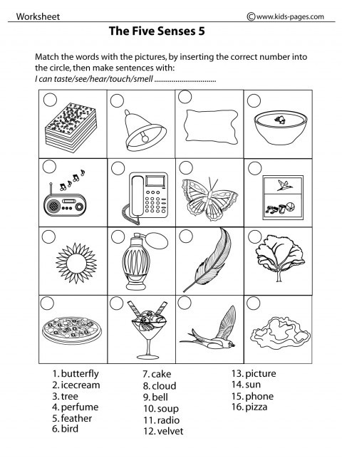 5 Senses Worksheets for Kindergarten Five Sense Worksheet New 90 the Five Senses Worksheet Pdf