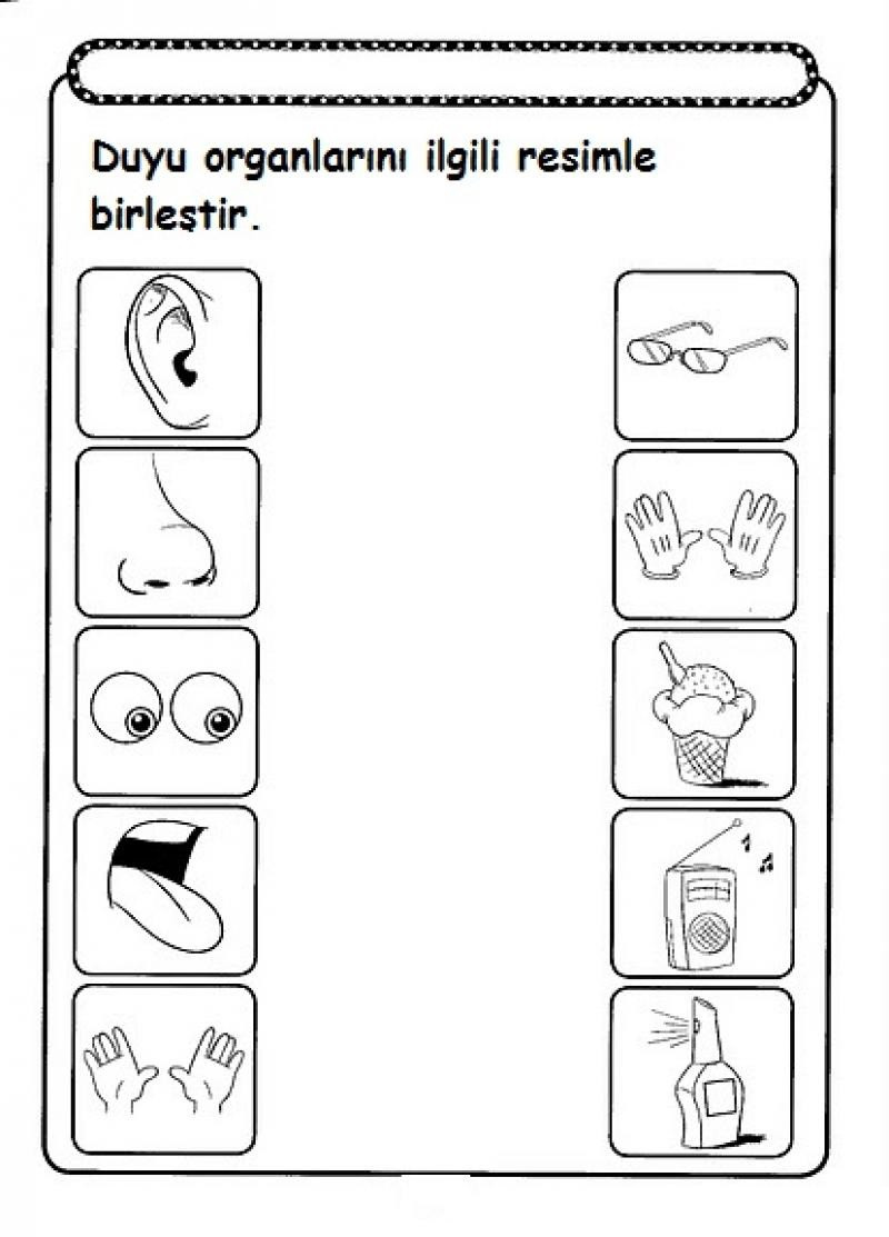 5 Senses Worksheets for Kindergarten Five Senses Worksheet for Kids