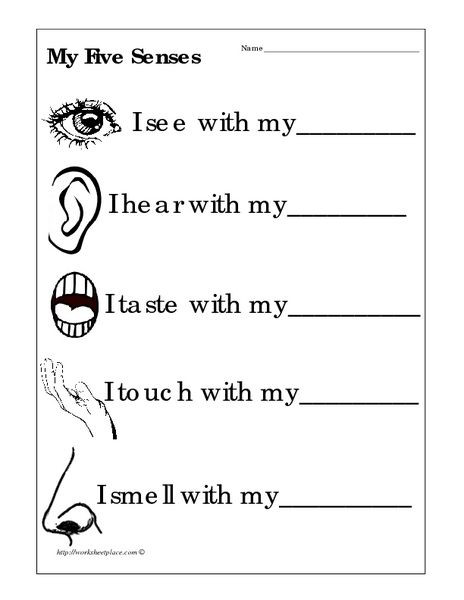 5 Senses Worksheets for Kindergarten My Five Senses Worksheet for 1st 2nd Grade