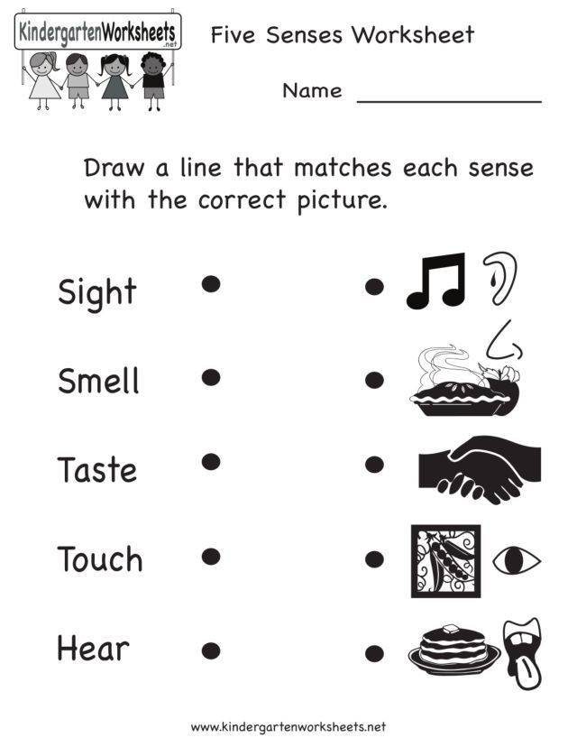 5 Senses Worksheets for Kindergarten Your Five Senses Worksheet for Pre K Kindergarten