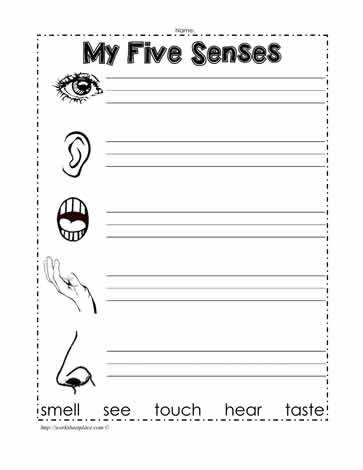 5 Senses Worksheets Kindergarten About My Senses Worksheets