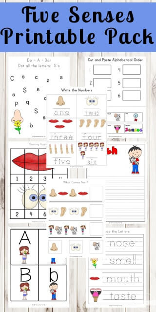 5 Senses Worksheets Kindergarten Five Senses Printable Pack