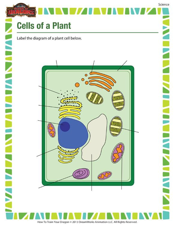 5th Grade Cell Worksheets Cells Of A Plant Printable Science Worksheets for 5th
