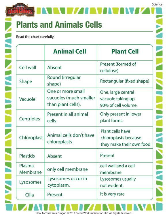5th Grade Cell Worksheets Plants and Animals Cells Printable Science Worksheets for