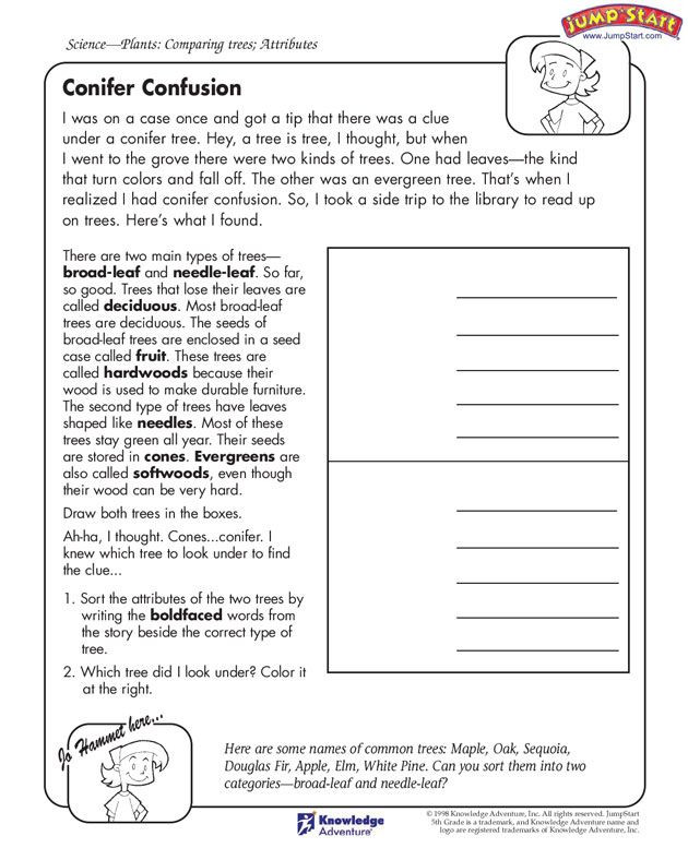 5th Grade Science Practice Worksheets Conifer Confusion&quot; – 5th Grade Science Worksheets Jumpstart