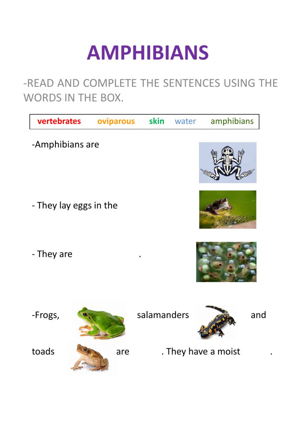 Amphibian Worksheets for Second Grade Amphibians Interactive Worksheet