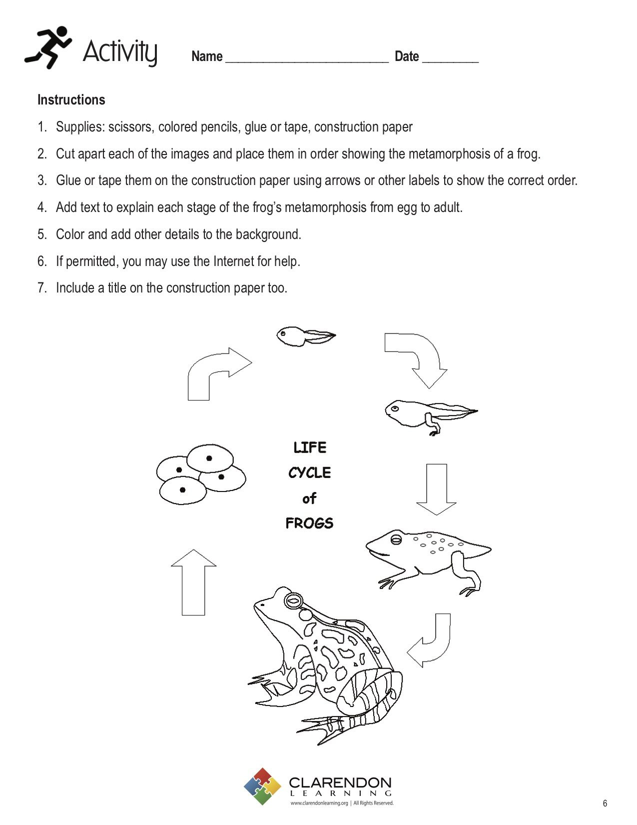 Amphibian Worksheets for Second Grade Amphibians