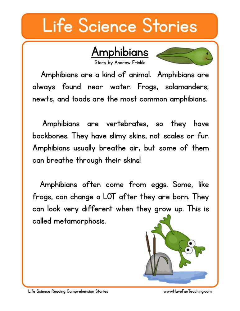 Amphibian Worksheets for Second Grade Reading Prehension Worksheet Amphibians