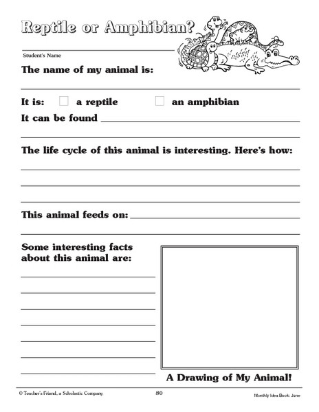 Amphibian Worksheets for Second Grade Reptile or Amphibian Worksheet for 2nd 3rd Grade
