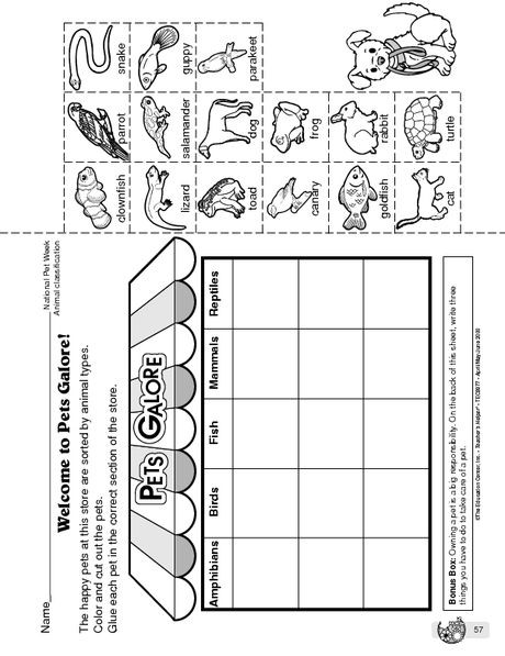 Amphibian Worksheets for Second Grade Science Animal Classification