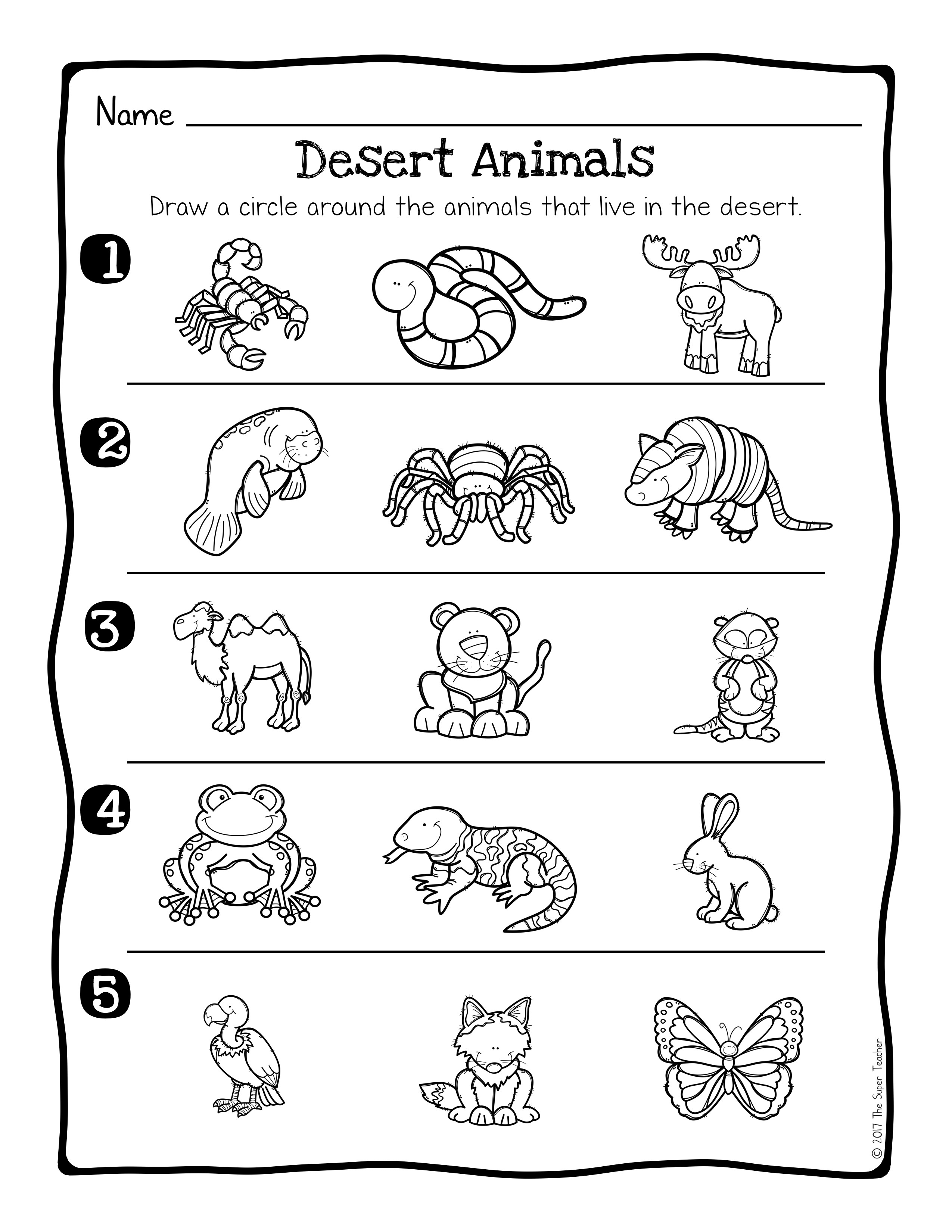 Animal Habitat Worksheets for Kindergarten Animal Habitats Science Activity and Worksheets