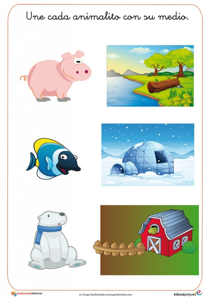 Animal Habitat Worksheets for Kindergarten Animal S Habitat Worksheets for Kids