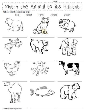 Animal Habitat Worksheets for Kindergarten where Do the Animals Live