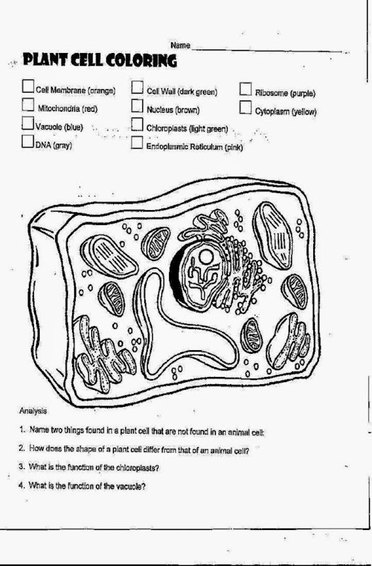 Cell Coloring Worksheets Awesome Plant Cell Coloring Pdf