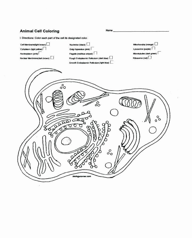 Cell Coloring Worksheets Cell Transport Coloring Worksheet In 2020