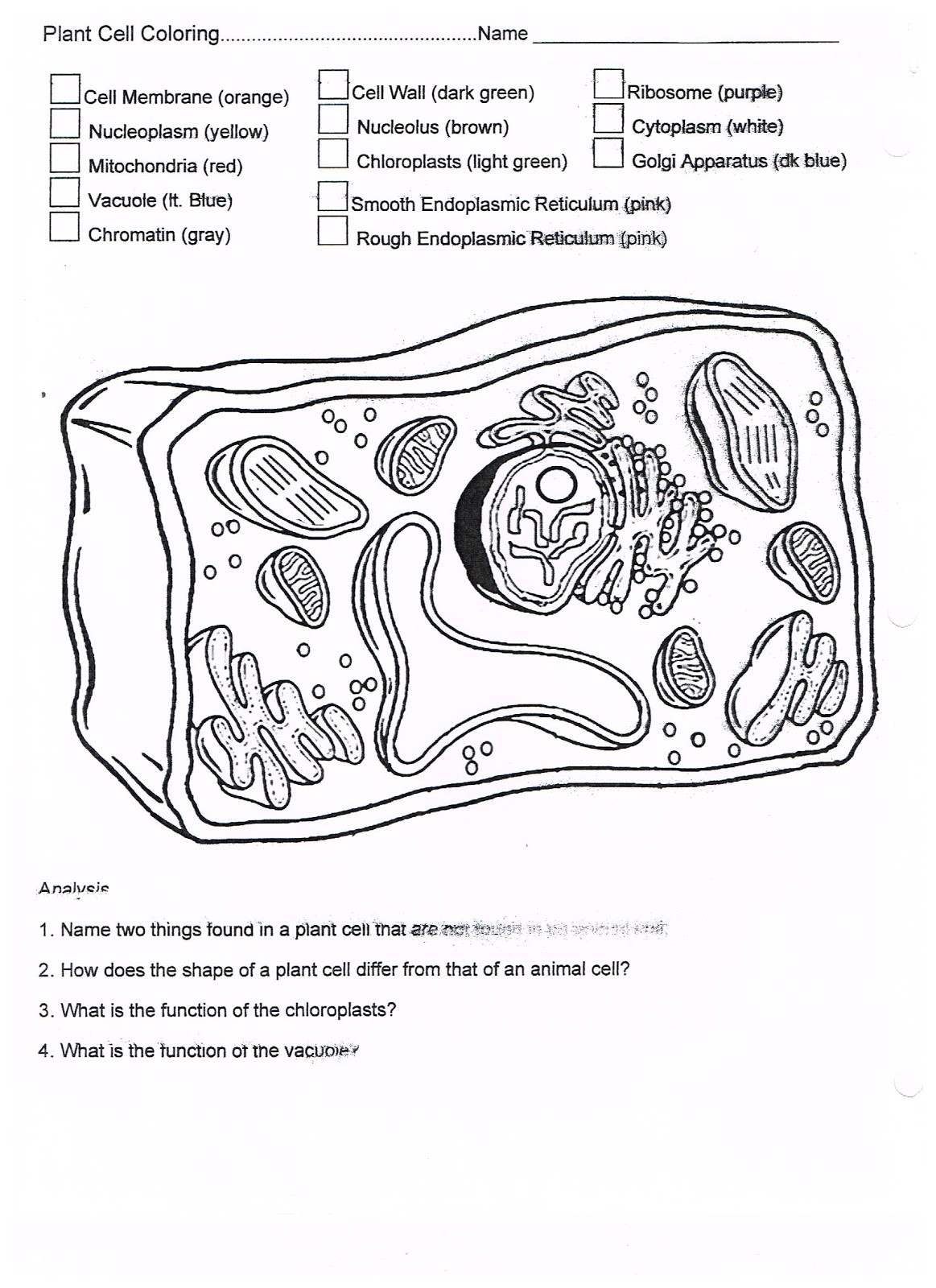 Cell Coloring Worksheets Plant Cell Math Worksheet
