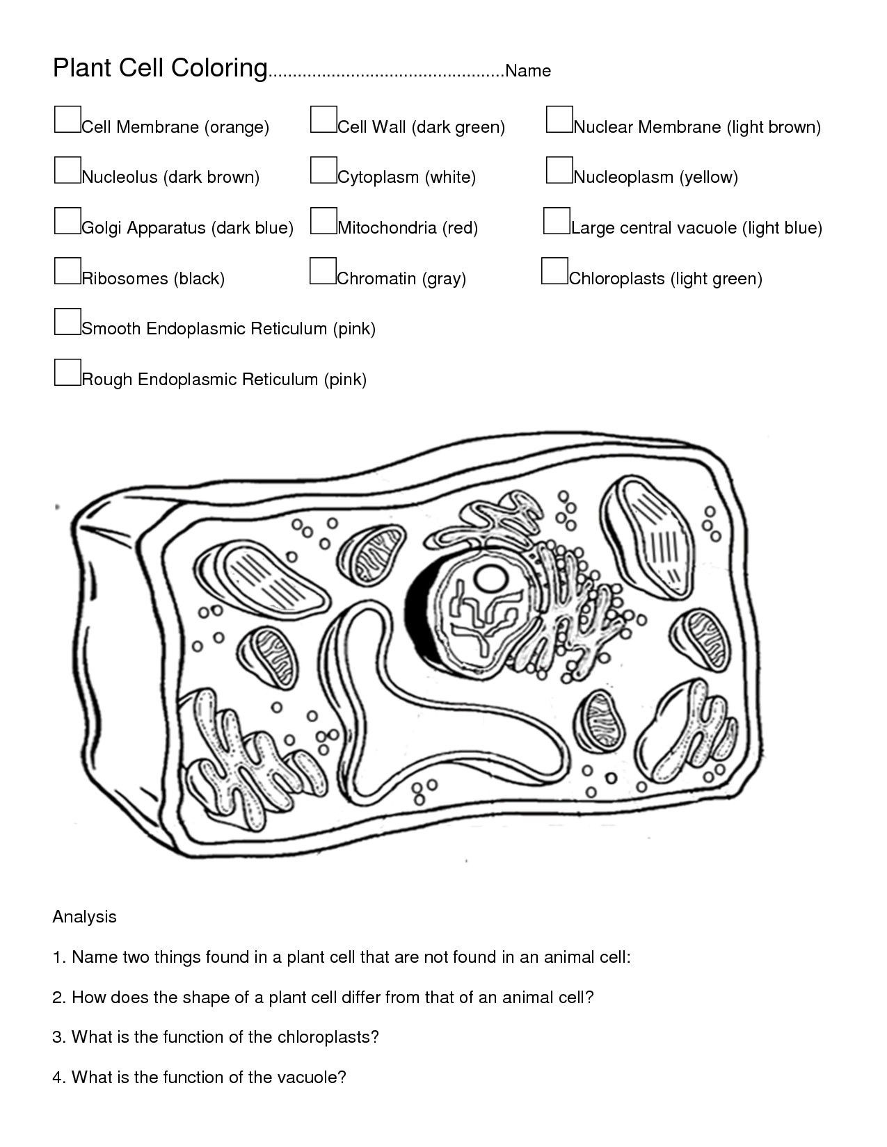 Cell Coloring Worksheets Rc 9008] Detailed Color Diagram A Plant Cell Free Diagram
