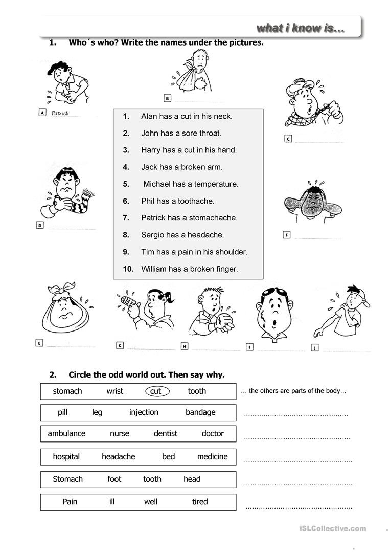 Dialogue Worksheet 5th Grade English Esl Health Going to the Doctor Worksheets Most