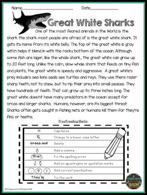 Editing Worksheets 2nd Grade Proofreading and Editing Reading Prehension Passages