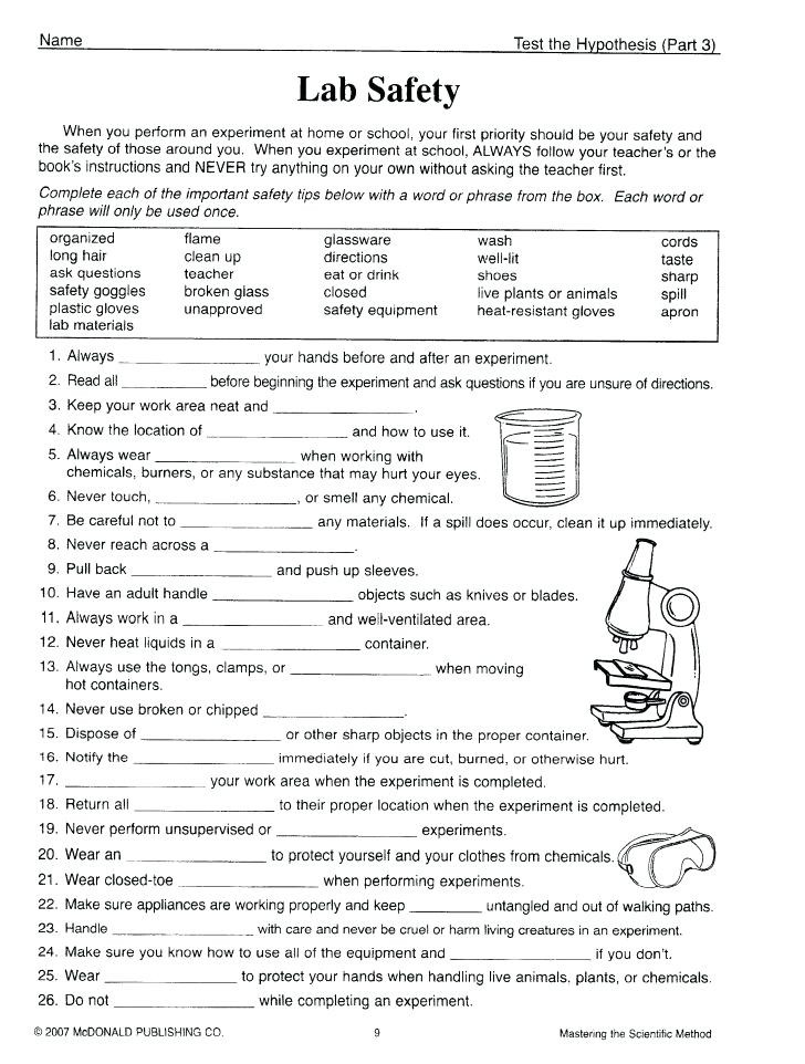 Eighth Grade Science Worksheets 7th Grade Science Practice Worksheets – Momami