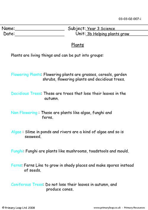 Eighth Grade Science Worksheets Year Science Printable Resources Free Worksheets for Kids