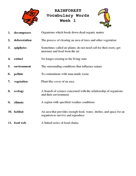 Eighth Grade Vocabulary Worksheets Rainforest Vocabulary Words Week 1 Worksheet for 7th 8th