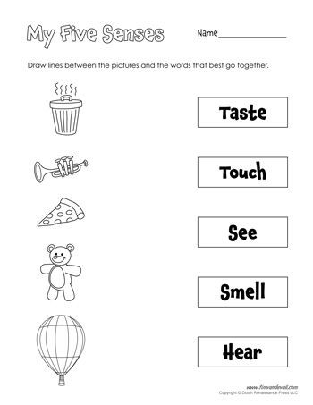 Five Senses Kindergarten Worksheet Five Senses Matching