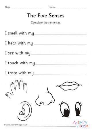 Five Senses Kindergarten Worksheet Five Senses Worksheets