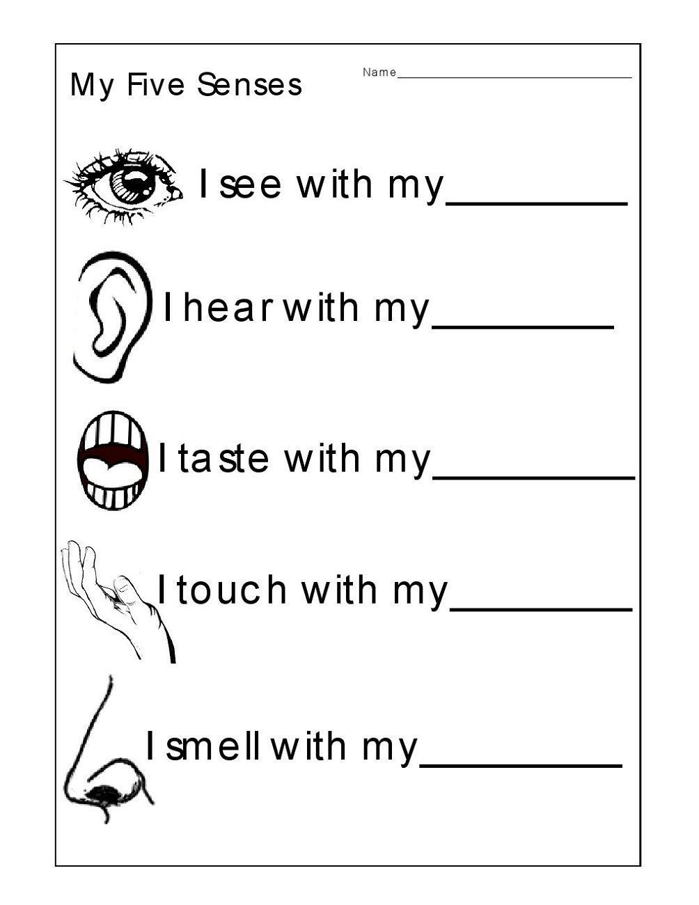 Five Senses Worksheets for Kindergarten Free Activity Sheets Kids Printable Worksheets Kindergarten