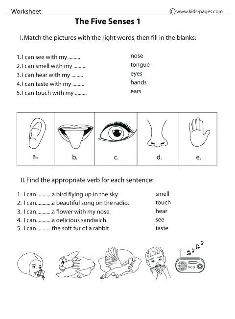 Five Senses Worksheets for Kindergarten touch Worksheets for Kindergarten – Keepyourheadup