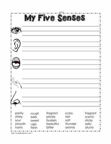 Five Senses Worksheets for Kindergarten What Your Senses Do Worksheets