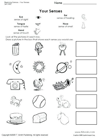 Five Senses Worksheets Kindergarten Five Senses Activities for Kindergarten Snapshot Image