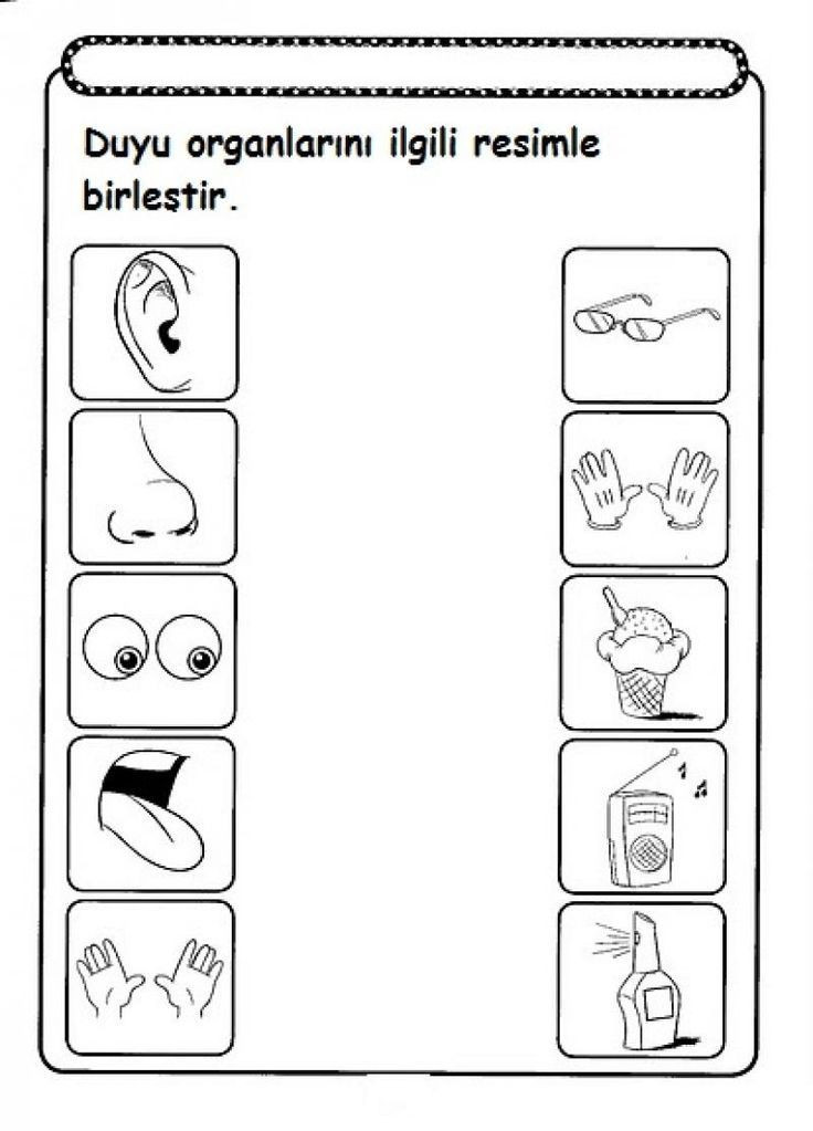 Five Senses Worksheets Kindergarten Five Senses Worksheet for Kids 1