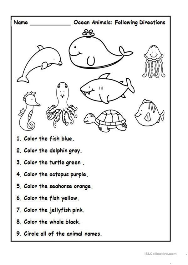 Following Directions Coloring Worksheet Animals and Colours English Esl Worksheets for Distance