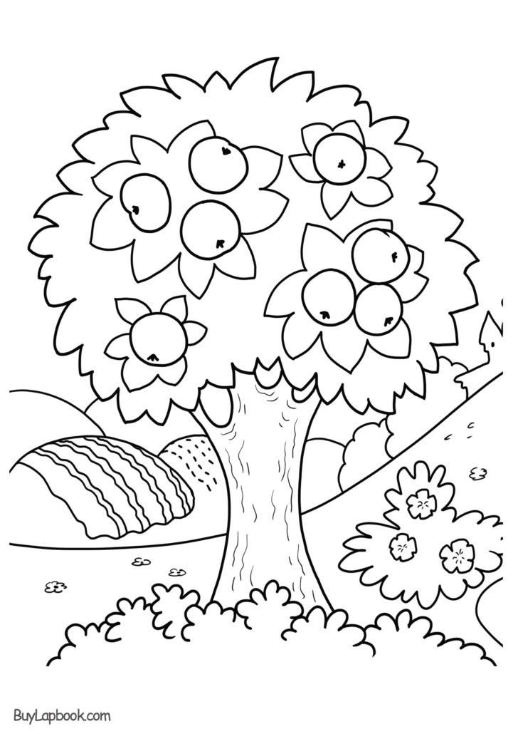 Four Seasons Kindergarten Worksheets Four Seasons Coloring for Kindergarten Weather and Climate