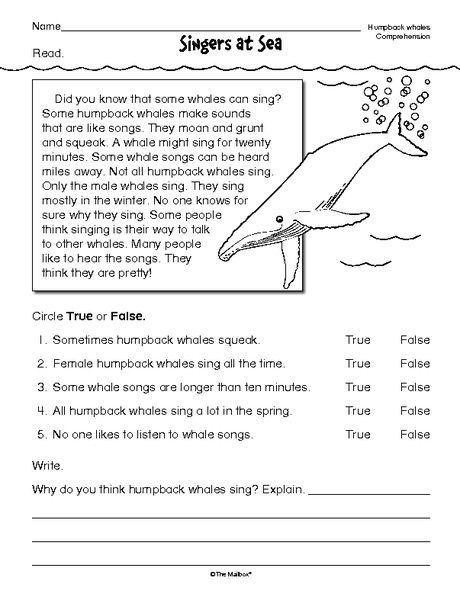 Free 2nd Grade Comprehension Worksheets Reading Prehension Worksheet Nonfiction Whales