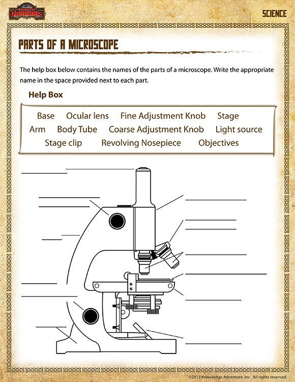 Free 8th Grade Science Worksheets Parts Of A Microscope View – Free 5th Grade Science