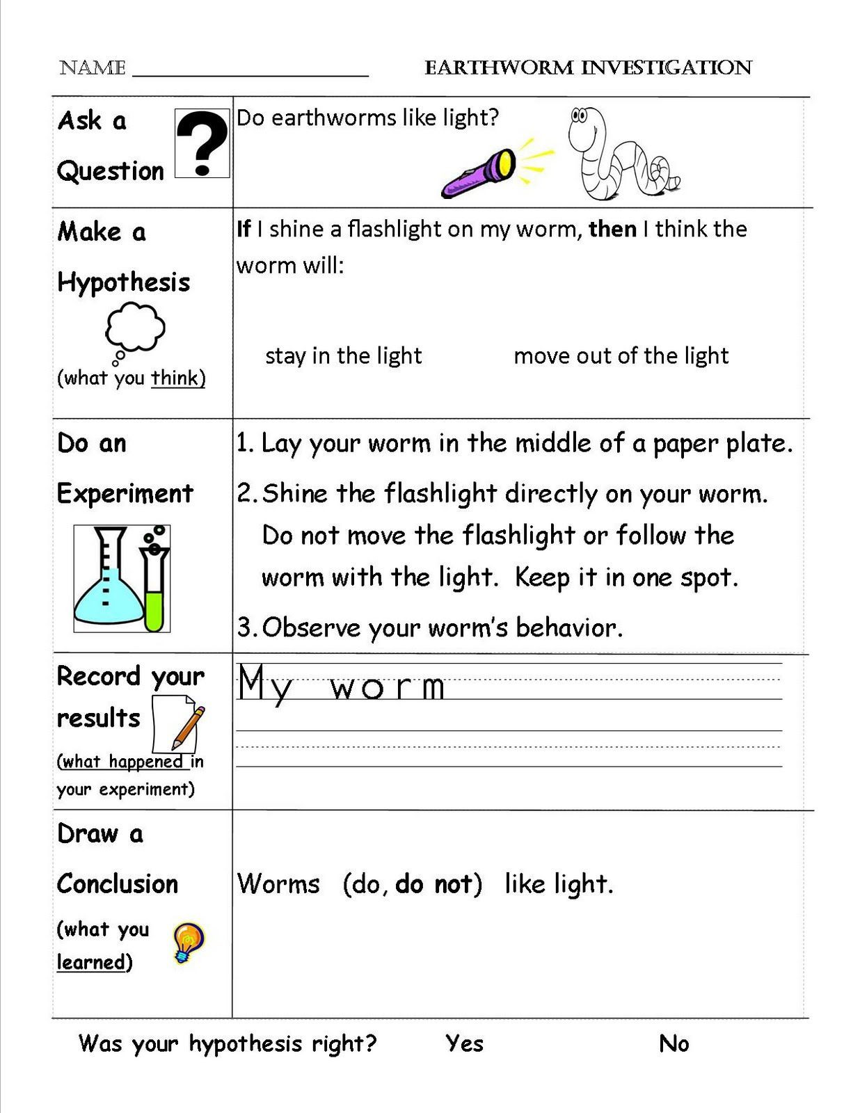 Free Fourth Grade Science Worksheets 4th Grade Life Science Worksheets