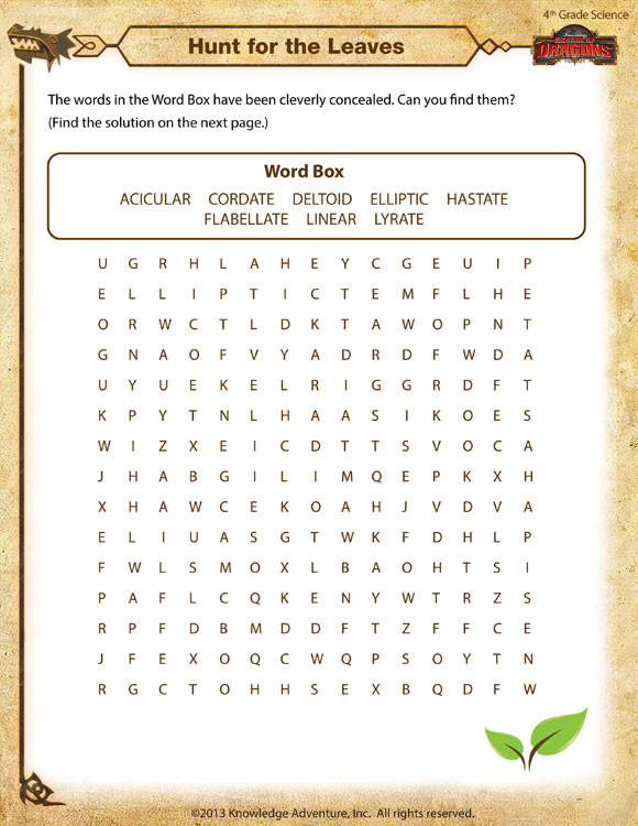 Free Fourth Grade Science Worksheets Hunt for the Leaves View – 4th Grade Science Worksheets sod