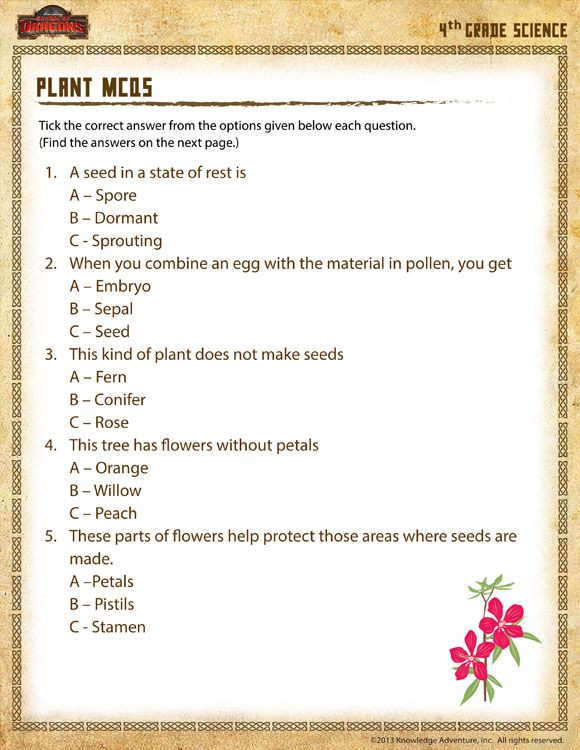 Free Fourth Grade Science Worksheets Plant Mcqs Printable Science Worksheet for 4th Grade