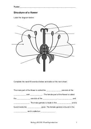 Free Fourth Grade Science Worksheets Plant Reproduction Worksheet
