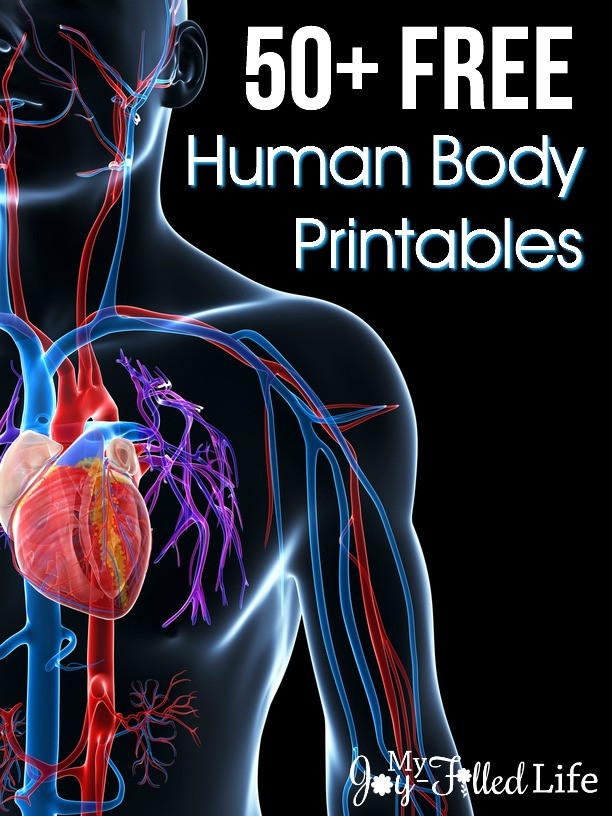 Free Printable Anatomy Worksheets 50 Free Human Body Printables My Joy Filled Life